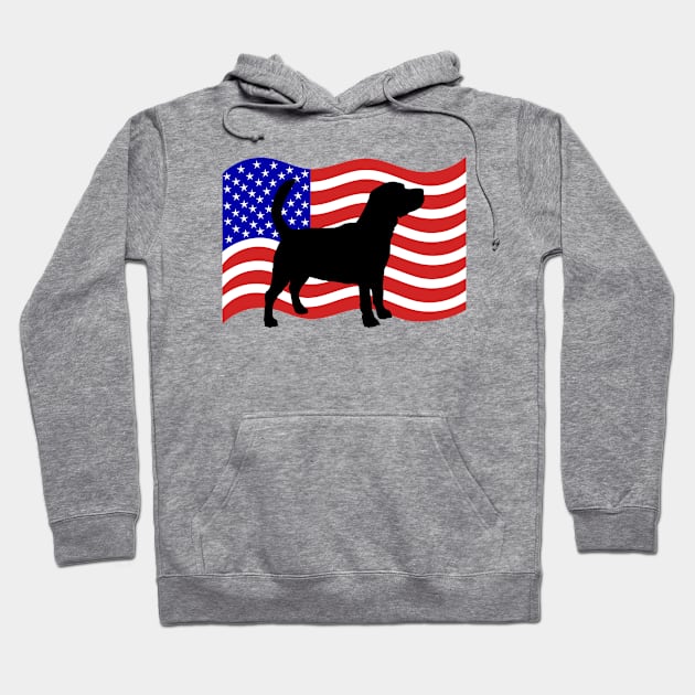 Beagle USA Hoodie by JKFDesigns